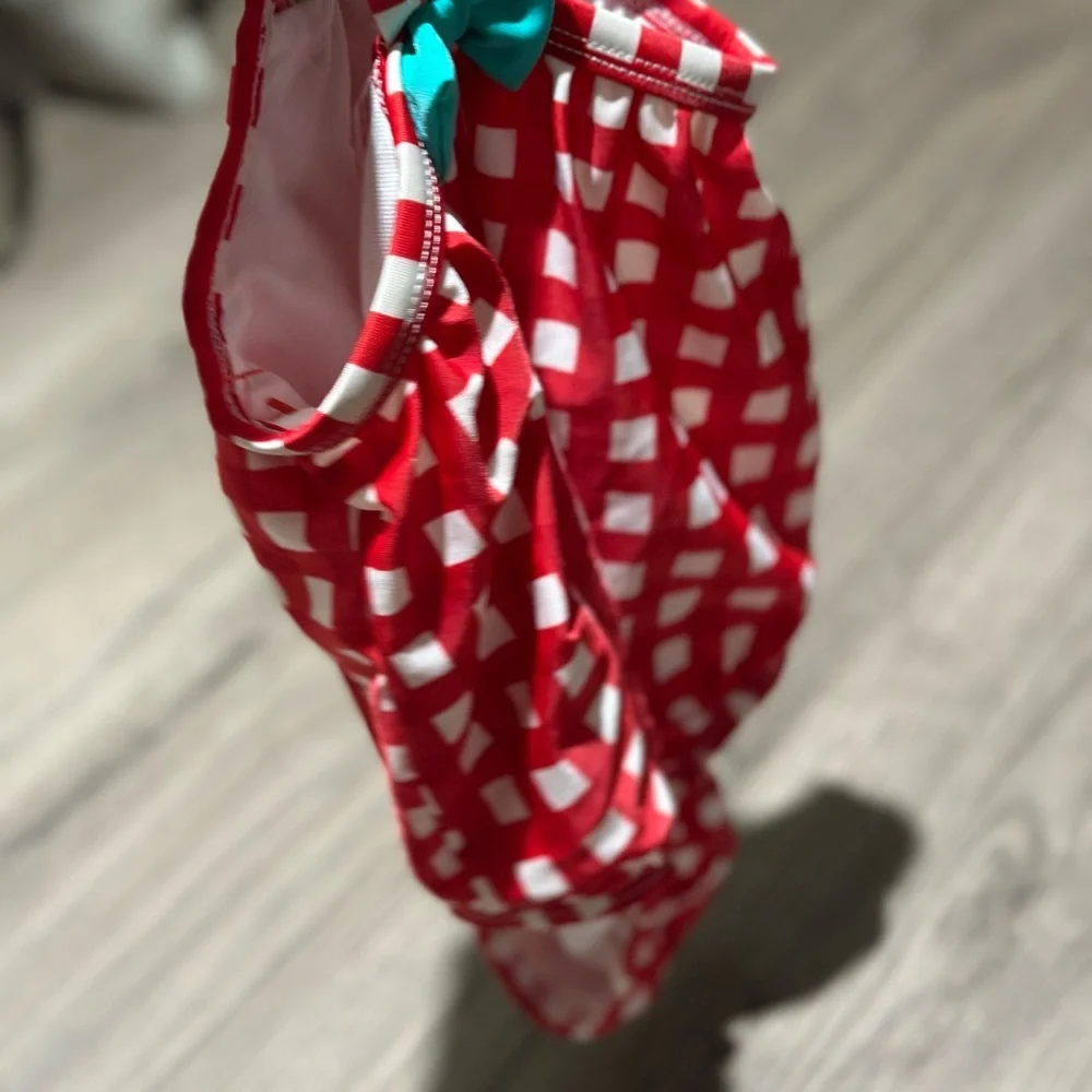 Kids Girl 2T  Month Red Gingham One-Piece Swimsuit with Smocked Detail